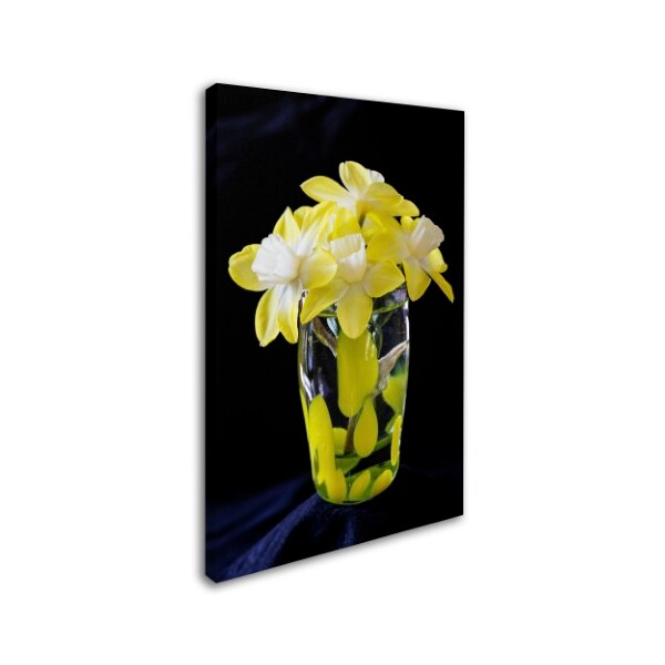 Kurt Shaffer 'Vase Of Little Daffodils' Canvas Art,12x19